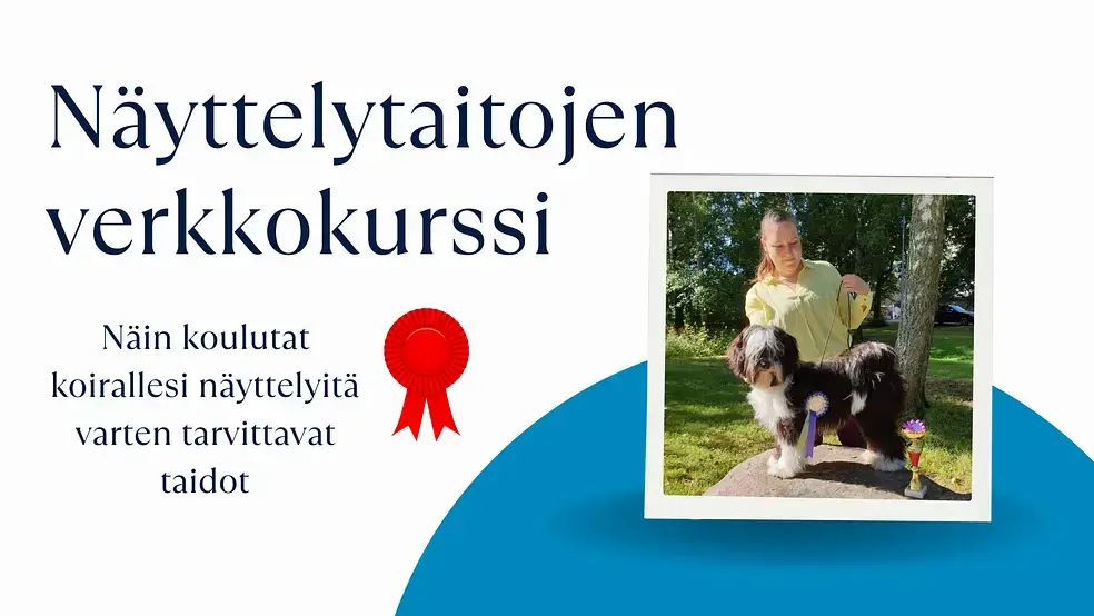 Näyttelytaitojen verkkokurssi kuva - Näin koulutat koirallesi näyttelyitä varten tarvittavat taidot